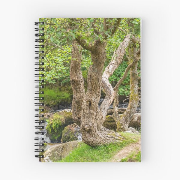 Item preview, Ceunant Mawr, Llanberis water fall, North Wales designed and sold by yackers1.