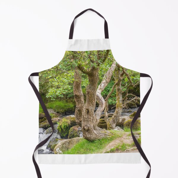 Item preview, Ceunant Mawr, Llanberis water fall, North Wales designed and sold by yackers1.