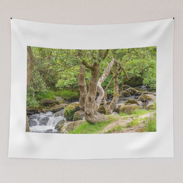 Item preview, Ceunant Mawr, Llanberis water fall, North Wales designed and sold by yackers1.
