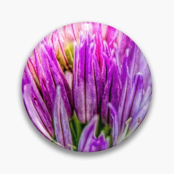 Item preview, Chive Flower designed and sold by CanadianWild418.