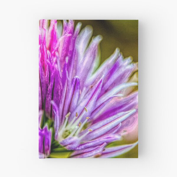 Item preview, Chive Flower designed and sold by CanadianWild418.