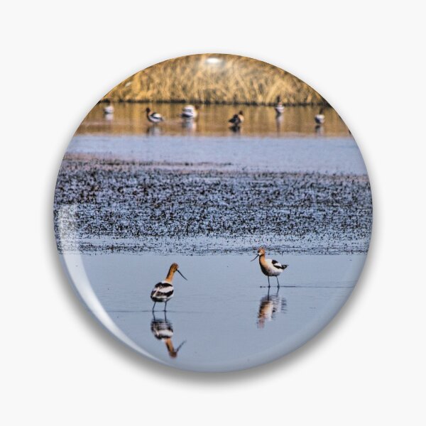 Item preview, American Avocets designed and sold by CanadianWild418.