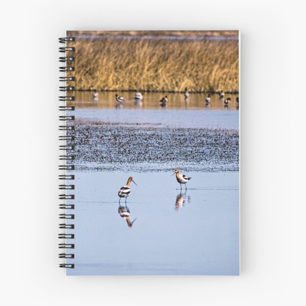 Item preview, American Avocets designed and sold by CanadianWild418.