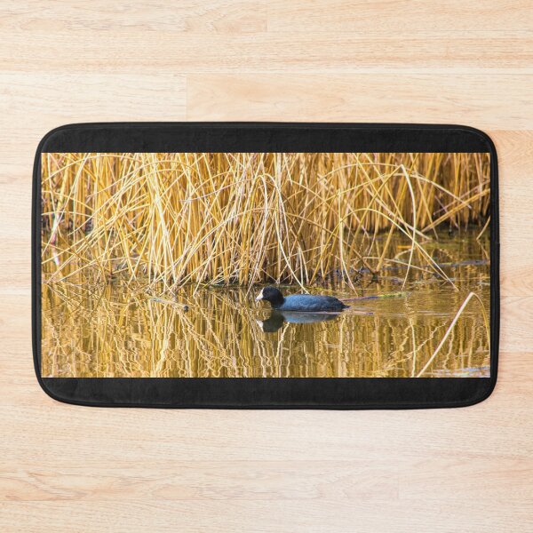 Item preview, Common Coot in the Wild designed and sold by CanadianWild418.