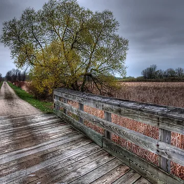 Artwork thumbnail, Country Path by FlashBulbPhoto