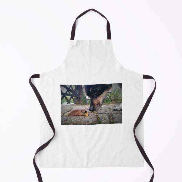 Item preview, The Coveted Corn Chip designed and sold by TwoSmallPtatoes.