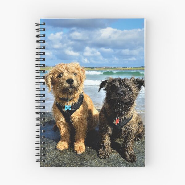 Item preview, Archie and Angus designed and sold by jmnicolson.