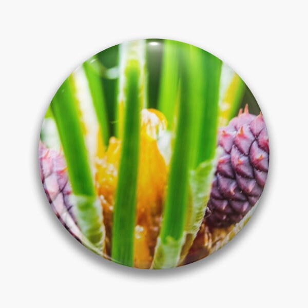 Item preview, Macro on a pine tree bud. designed and sold by CanadianWild418.