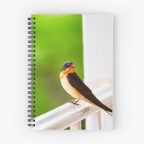 Item preview, Hi There! designed and sold by Travelways.