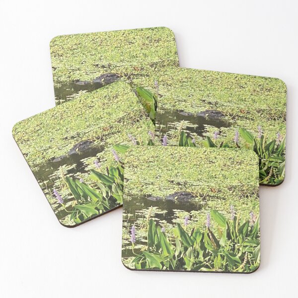 Item preview, Mesmerizing Nature View Wakodahatchee Wetlands Florida designed and sold by JDMHoney.