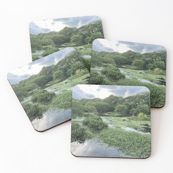 Item preview, Mesmerizing Nature View Wakodahatchee Wetlands Florida designed and sold by JDMHoney.