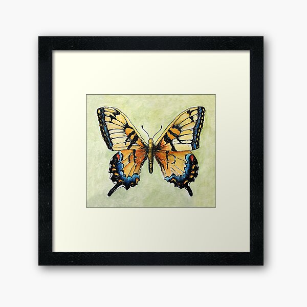 Yellow swallowtail butterfly Framed Art Print