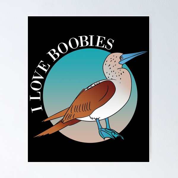 I Love Boobies BlueFooted Boobie Bird Funny | Poster