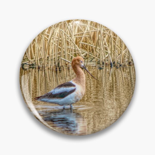 Item preview, Migrating American Avocets designed and sold by CanadianWild418.