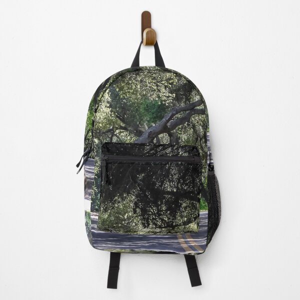 country road backpack