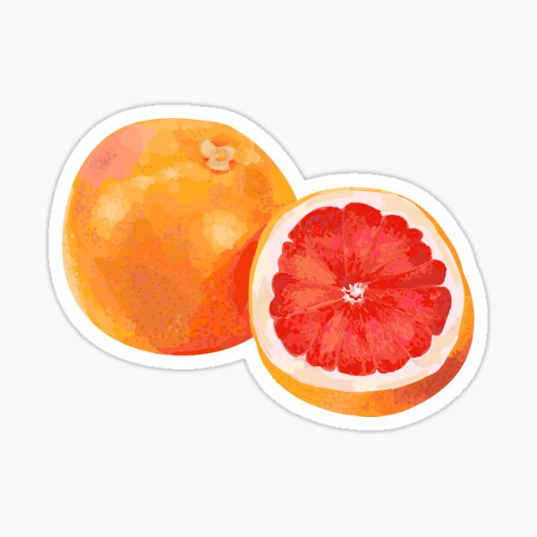 grapefruit Sticker