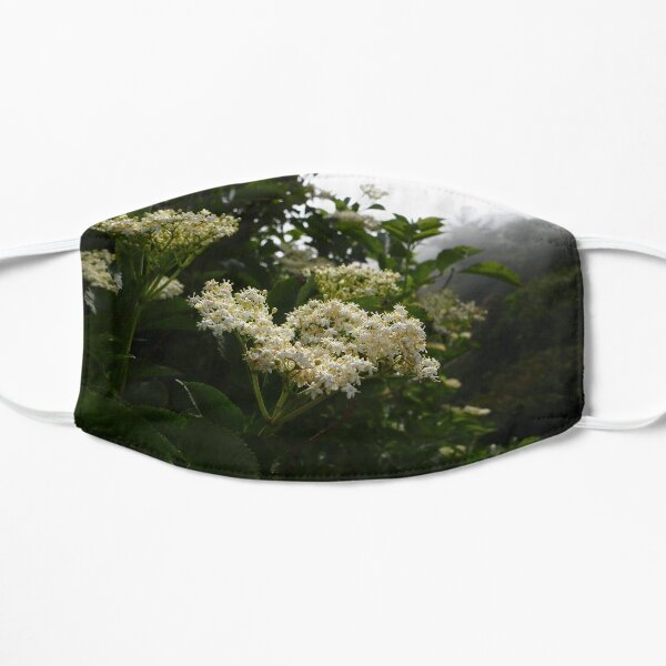 Elder (Sambucus) Flat Mask