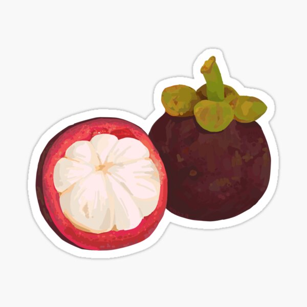 Item preview, mangosteen designed and sold by pmelos.