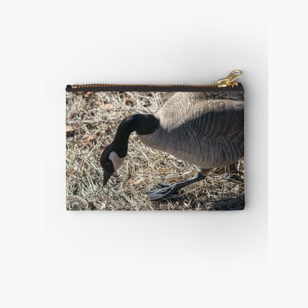 Item preview, Canada Geese looking for nesting material designed and sold by CanadianWild418.