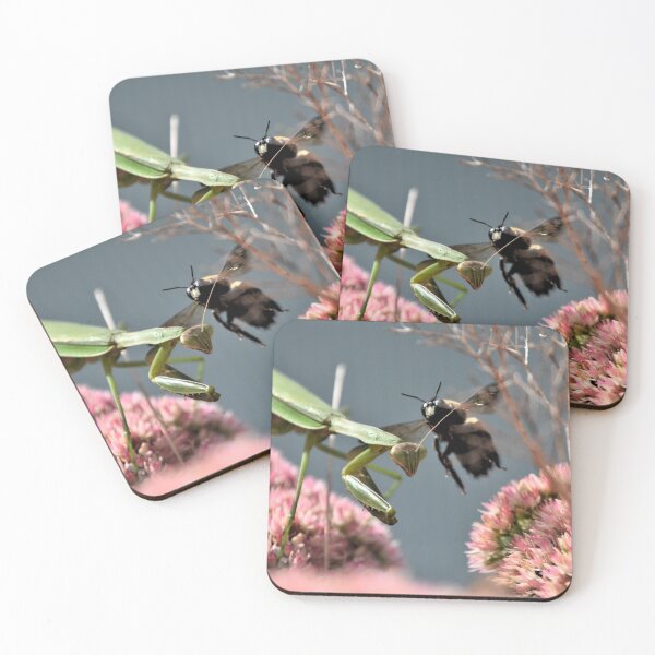 Item preview, Bumble Bee Bomb designed and sold by DonnaM.