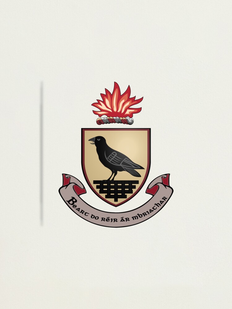 County Dublin Coat of Arms