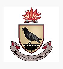 County Dublin Coat of Arms Photographic Print