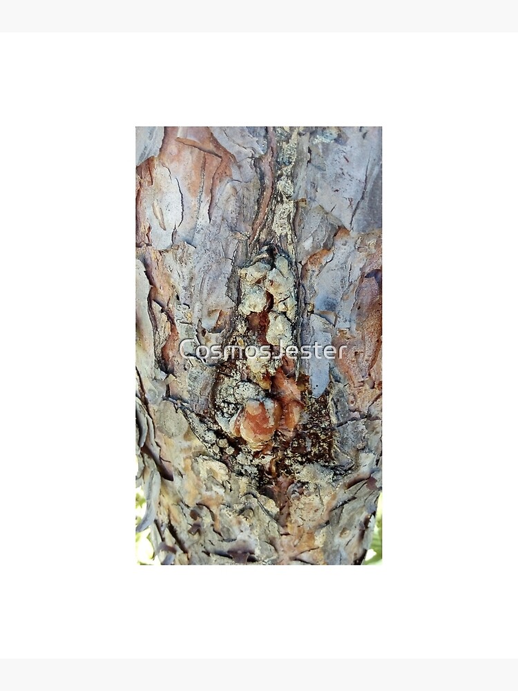 log up close 4 by CosmosJester