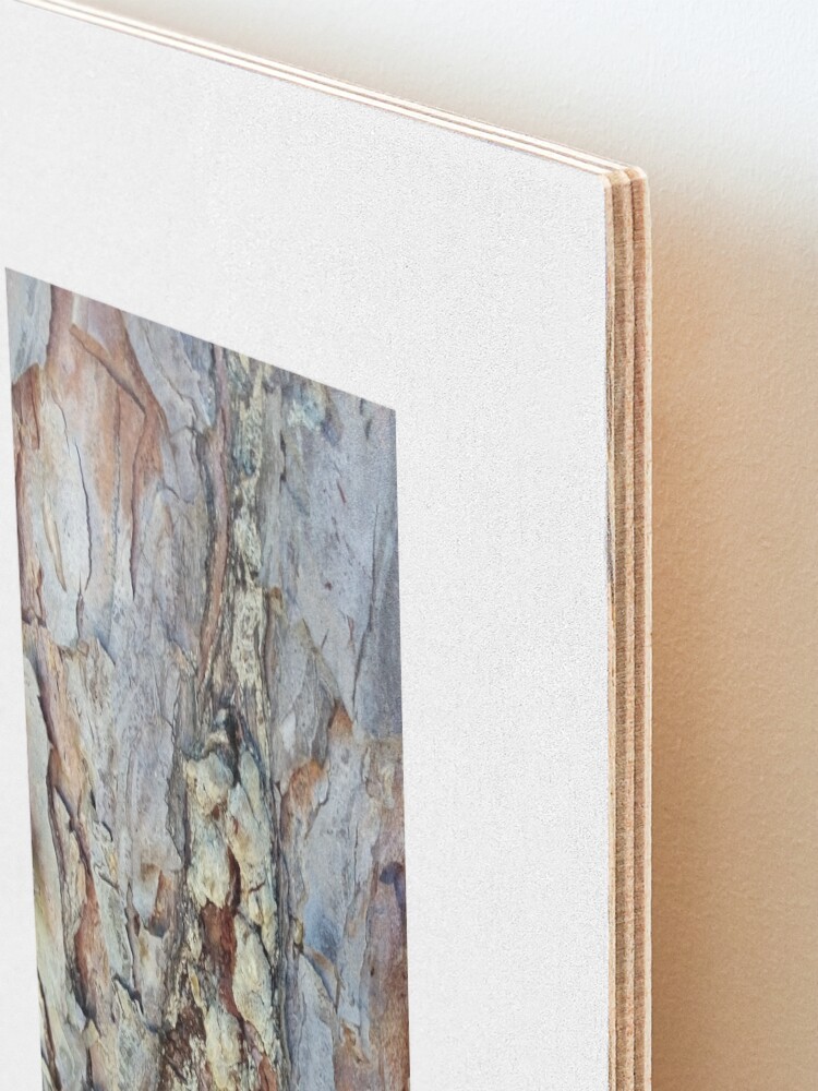 Alternate view of log up close 4 Mounted Print