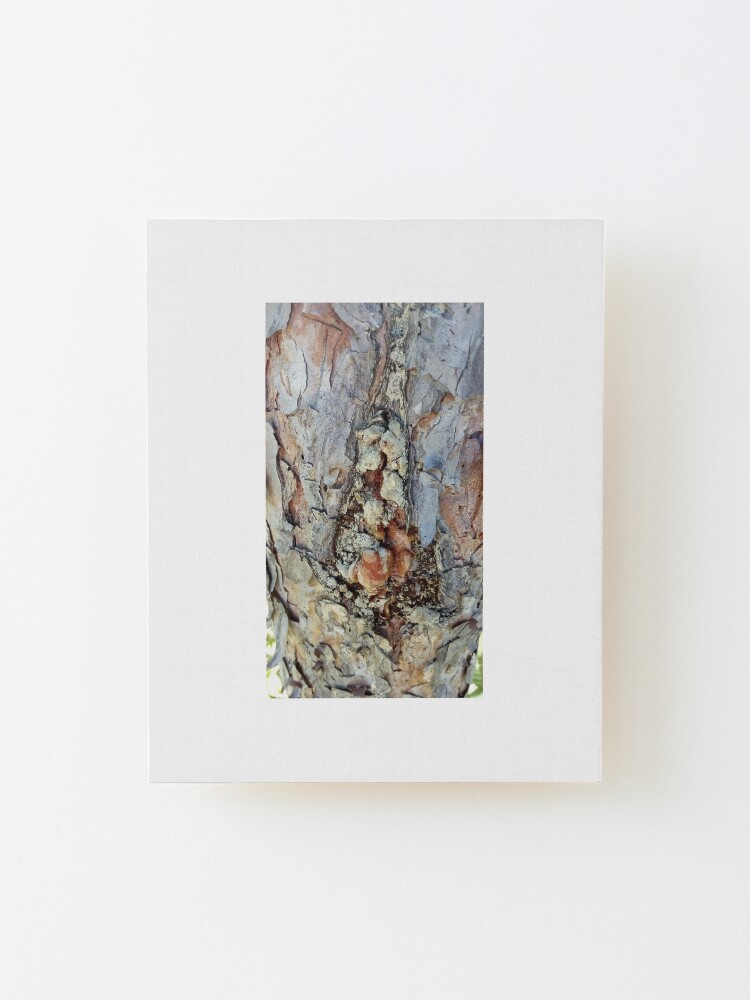 Alternate view of log up close 4 Mounted Print