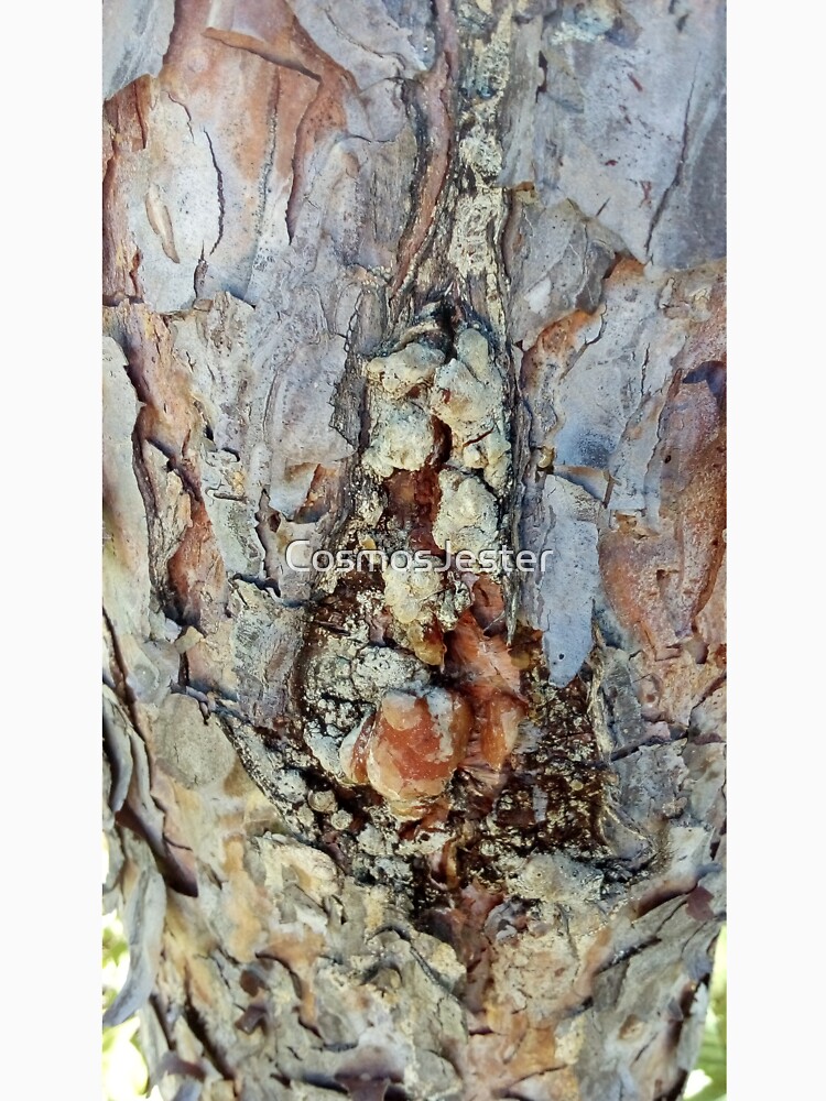 log up close 4 by CosmosJester