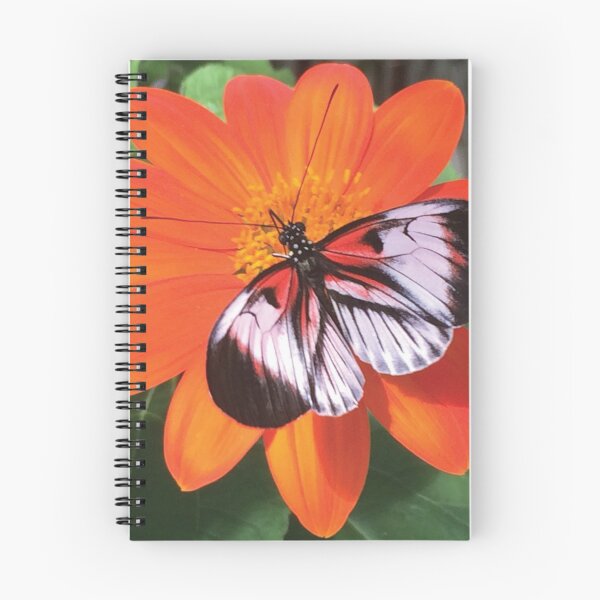 Item preview, Butterfly on Flower designed and sold by JDMHoney.