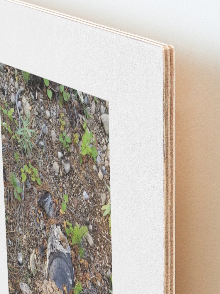 Alternate view of Boreal forest floor 1 Mounted Print