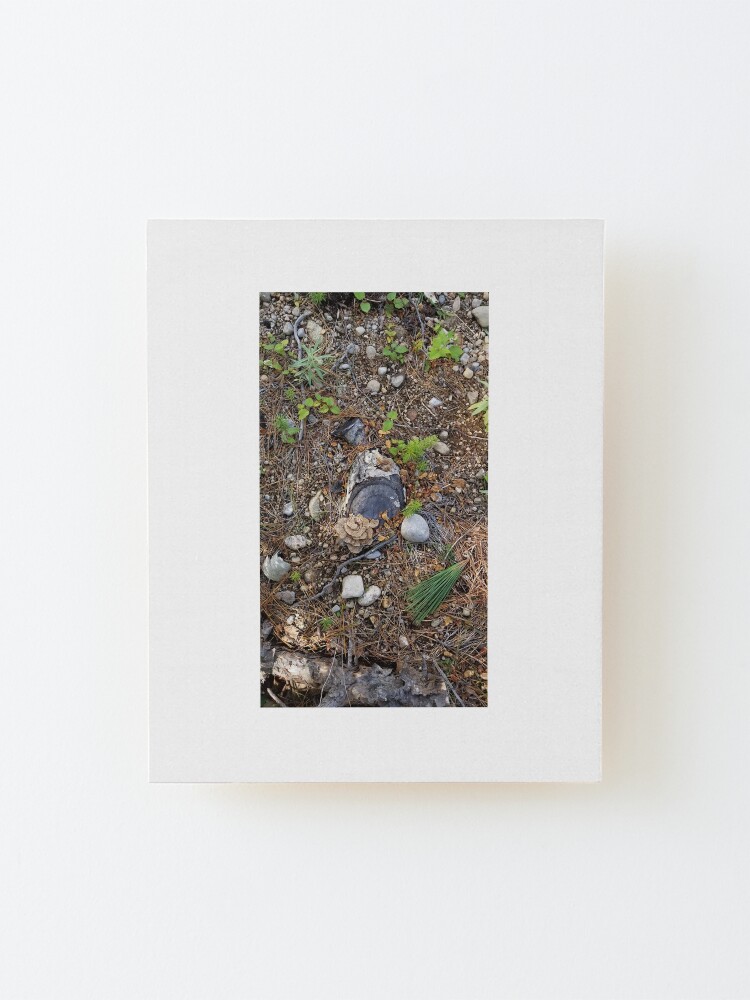 Alternate view of Boreal forest floor 1 Mounted Print