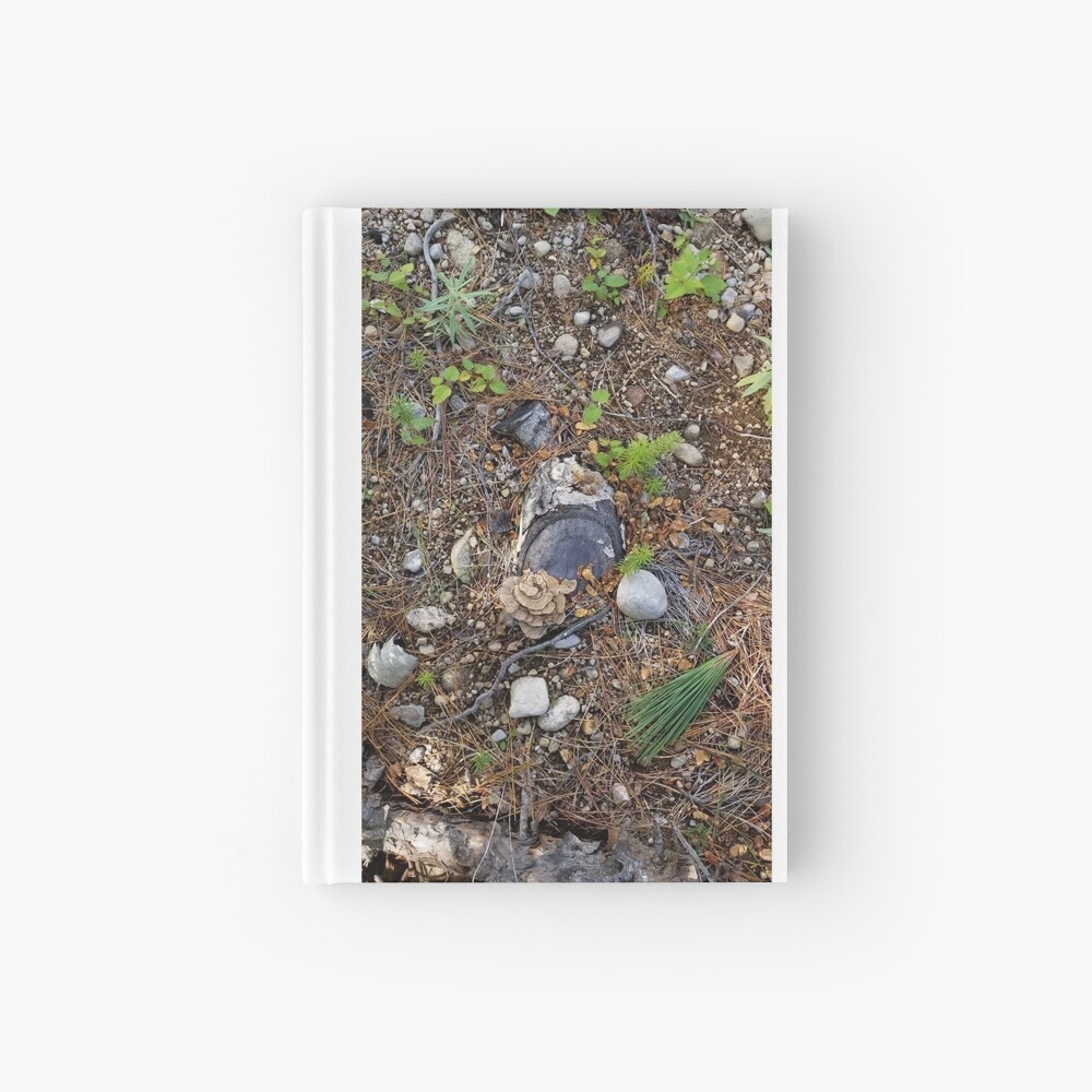 Boreal forest floor 1 Hardcover Journal