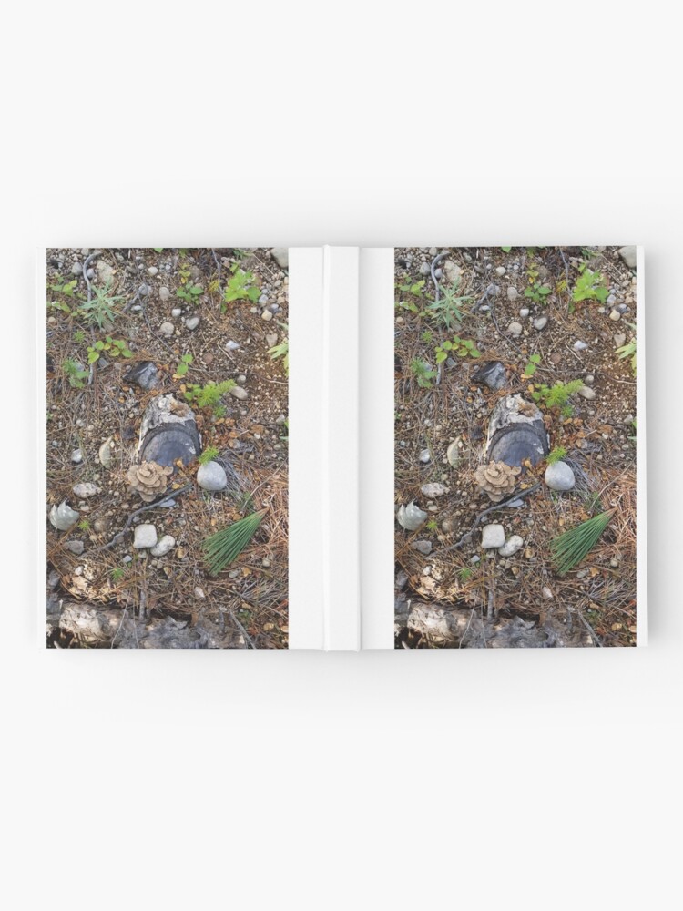 Alternate view of Boreal forest floor 1 Hardcover Journal