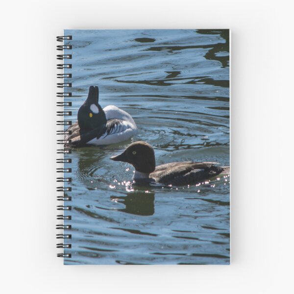 Item preview, Goldeneye male showing off to the female. designed and sold by CanadianWild418.