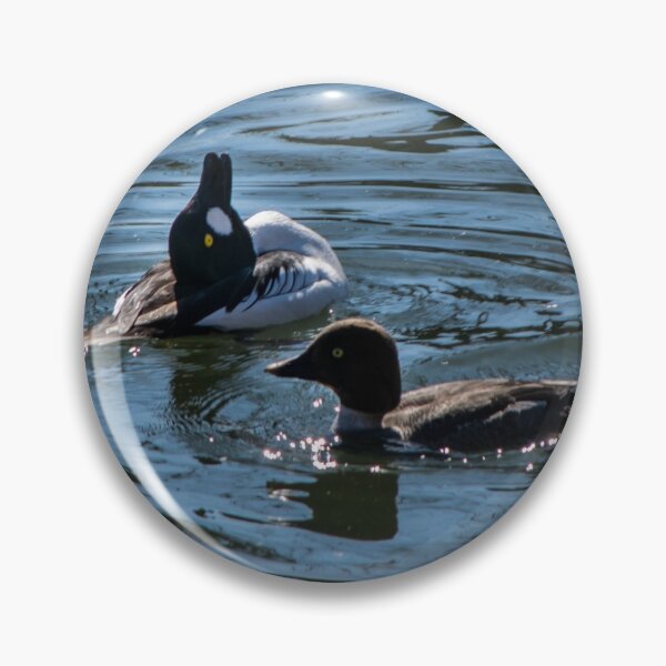 Item preview, Goldeneye male showing off to the female. designed and sold by CanadianWild418.