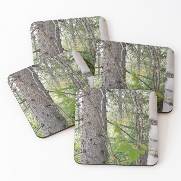 Item preview, Boreal forest 4 designed and sold by CosmosJester.