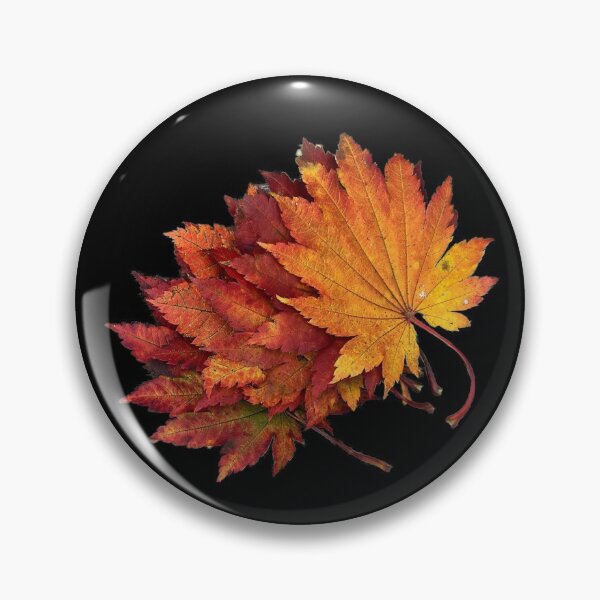 Item preview, Autumn! 07 designed and sold by classy-lik.