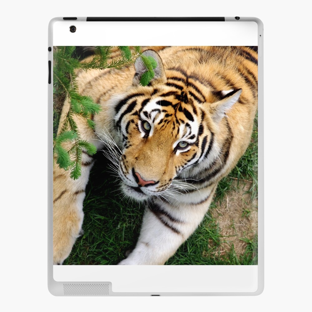 Item preview, iPad Skin designed and sold by CosmosJester.