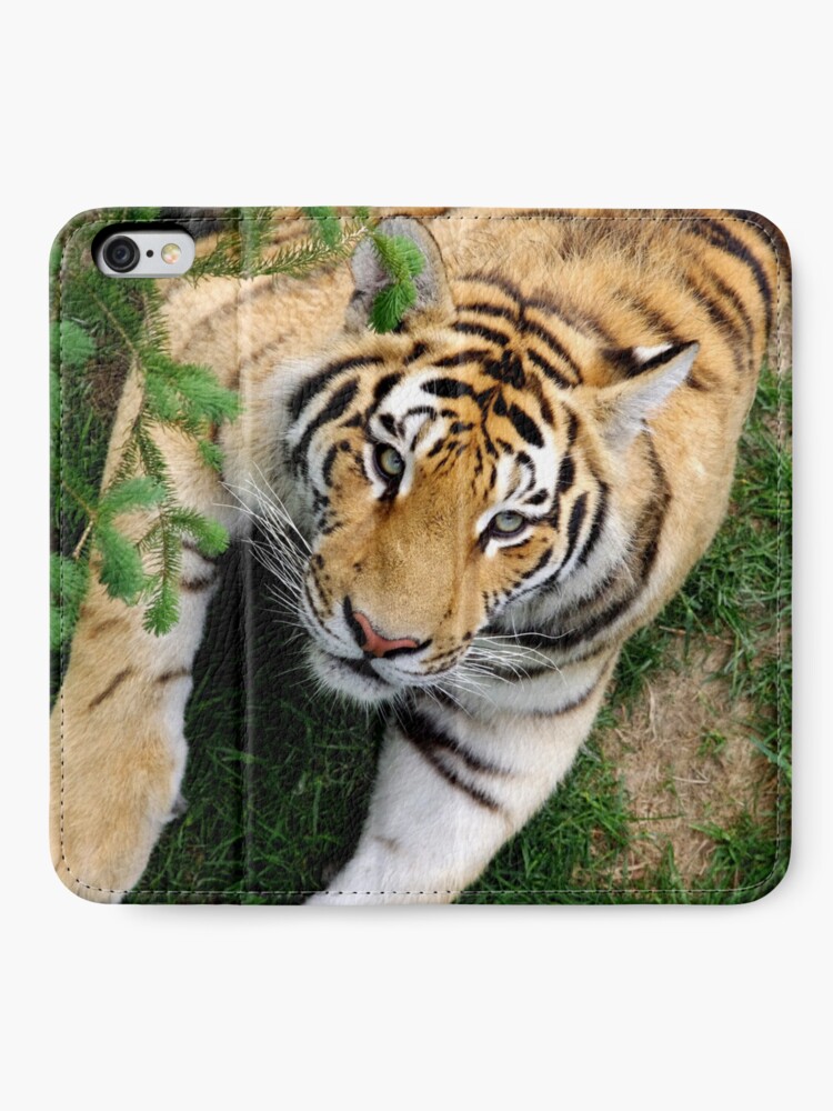 Alternate view of Chilling tiger iPhone Wallet