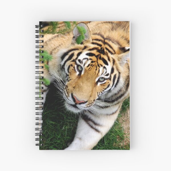 Chilling tiger Spiral Notebook