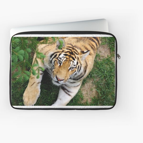 Chilling tiger Laptop Sleeve