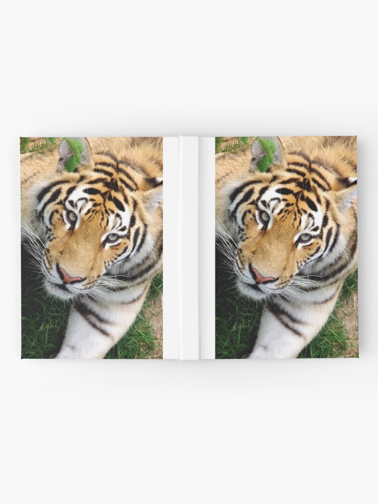 Alternate view of Chilling tiger Hardcover Journal