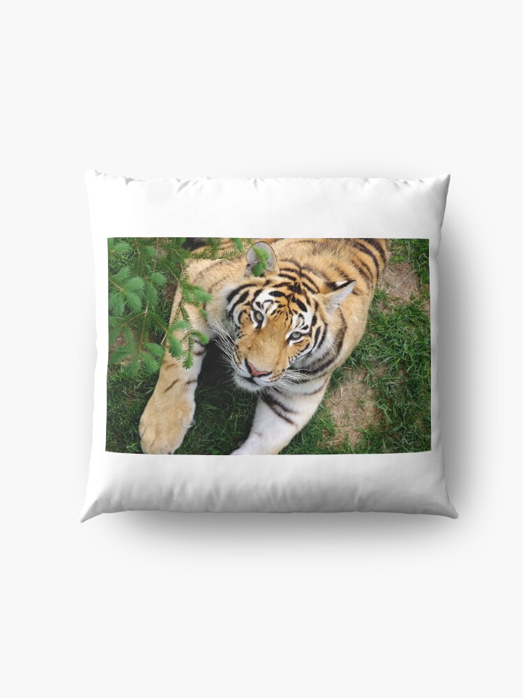 Alternate view of Chilling tiger Floor Pillow