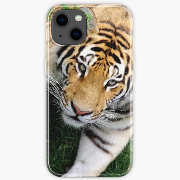 Chilling tiger iPhone Soft Case