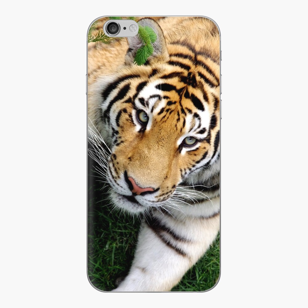 Item preview, iPhone Skin designed and sold by CosmosJester.