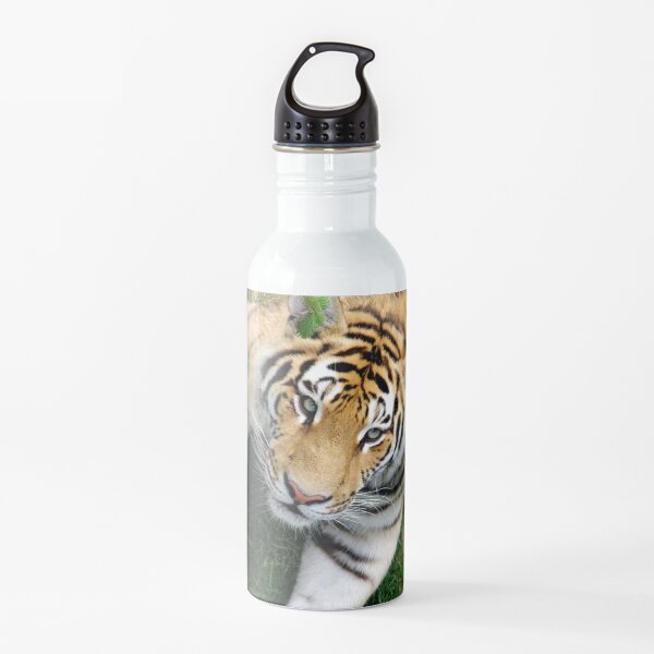 Chilling tiger Water Bottle