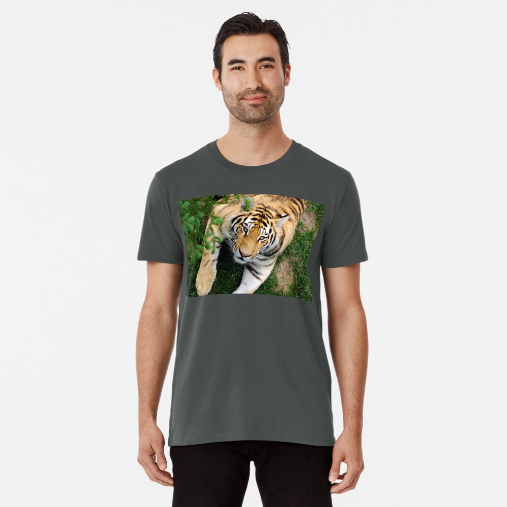 Item preview, Premium T-Shirt designed and sold by CosmosJester.