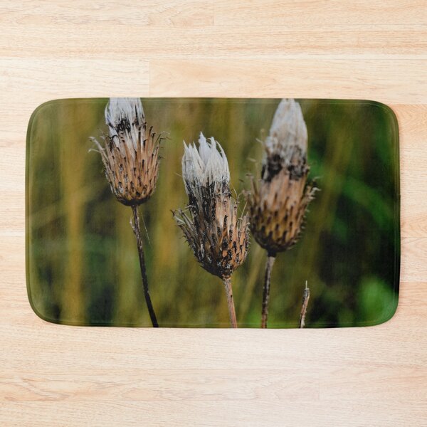 Item preview, Dried Thistle Heads designed and sold by APrettyView.